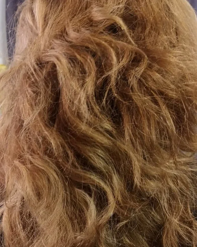 Blonde hair, dry and tightly curled